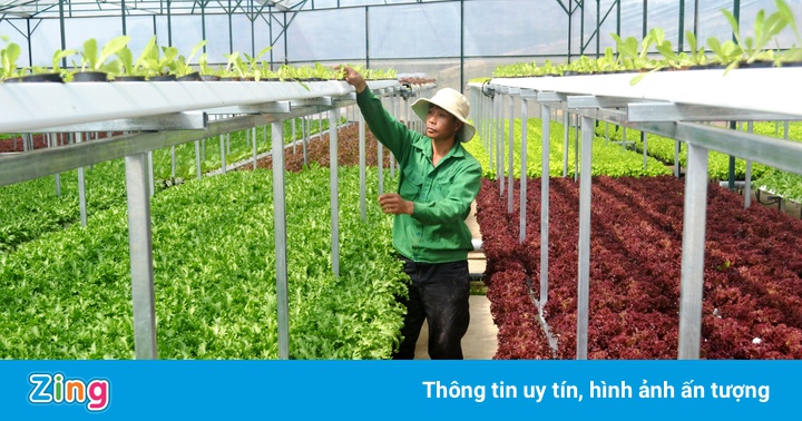 Đề xuất có gói hỗ trợ sản xuất nông nghiệp tại các tỉnh phía Nam