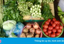 Nhiều người TP.HCM dần hết thực phẩm dự trữ