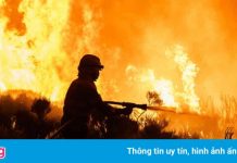 Con người đã đẩy Trái Đất đến giới hạn nguy hiểm