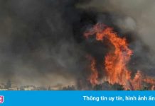 Sicily phá vỡ kỷ lục về nhiệt độ ở châu Âu trong 44 năm