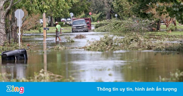 Cụ ông bị cá sấu tấn công giữa vùng lụt sau bão Ida ở Mỹ