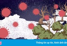 ‘Vũ Hán mà họ từng sống đã không quay trở lại’