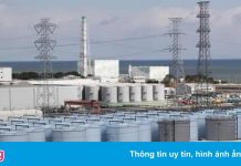 Nhật xây đường hầm dưới biển để thải nước nhiễm xạ Fukushima