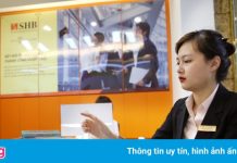 SHB khoá room ngoại để chào bán cổ phiếu mới