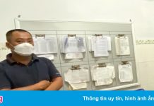 Bắt tạm giam người chặt phá 1,7 ha rừng phòng hộ