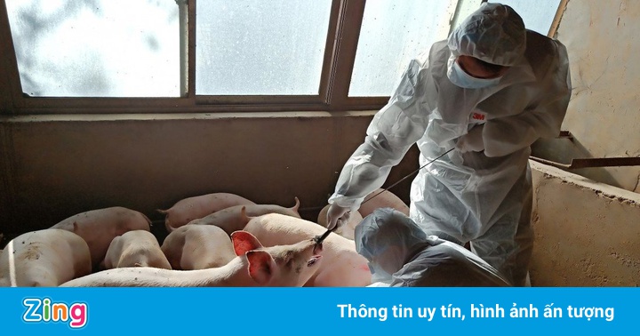 Công ty Trung Quốc xây ‘khách sạn’ 13 tầng để nuôi 10.000 con heo