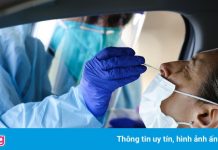 Sydney ghi nhận 259 ca mắc mới