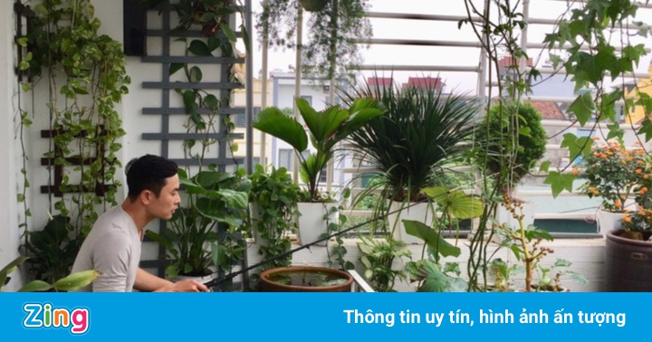 Ông bố câu cá, trồng rau trên sân thượng khi ở nhà tránh dịch