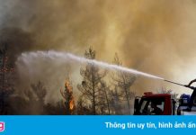 Thổ Nhĩ Kỳ dập gần 200 đám cháy rừng, nhưng ngọn lửa chưa tắt hẳn