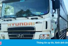 Tài xế xe tải dùng giấy nhận diện luồng xanh giả để vào Hà Nội