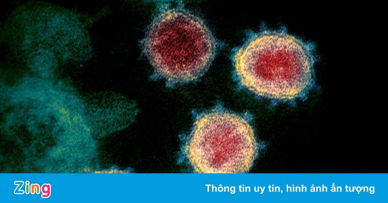 Nam Phi theo dõi biến chủng mới của nCoV đột biến nhanh bất thường