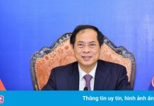 Việt Nam kêu gọi Canada hỗ trợ ASEAN tiếp cận kịp thời với vaccine