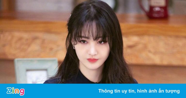 Trịnh Sảng bị cấm hoạt động nghệ thuật vĩnh viễn Trịnh Sảng bị cấm hoạt động nghệ thuật vĩnh viễn