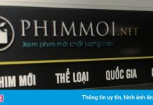 Xâm phạm quyền tác giả, chủ website phimmoi.net bị xử lý ra sao?