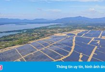 Bamboo Capital lập công ty mua bán nợ