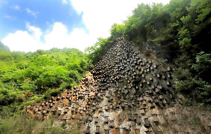 Bí ẩn hàng trăm hộp gỗ kỳ lạ trên vách đá - 3