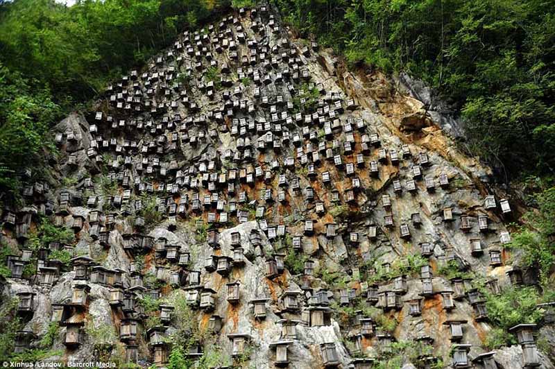 Bí ẩn hàng trăm hộp gỗ kỳ lạ trên vách đá - 6