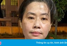 Bắt giam nữ giám đốc lừa đảo chiếm đoạt hơn 11 triệu USD