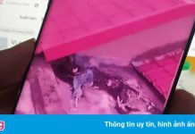 Phát hiện bộ xương trên nóc nhà ở TP.HCM