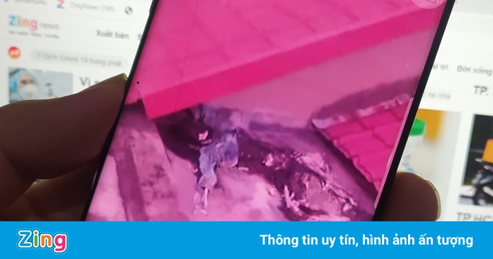 Phát hiện bộ xương trên nóc nhà ở TP.HCM