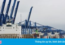 Cảng Cát Lái tạm ngừng tiếp nhận nhiều loại hàng hóa