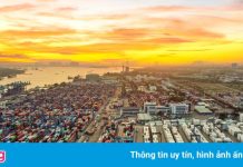 Ba nhóm giải pháp xử lý hàng tồn quá tải tại cảng Cát Lái