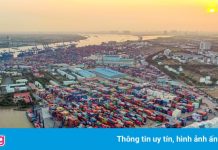 Cấp tốc đưa hàng ở cảng Cát Lái đến cảng khác để giảm ùn ứ