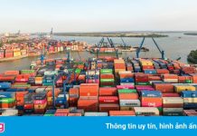 Cảng Cát Lái tăng tốc giải phóng container