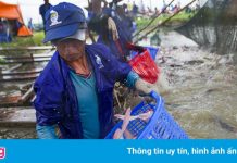 Khó mua tôm, cá ở TP.HCM