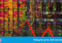 Chứng khoán lao dốc, mất gần 30 điểm