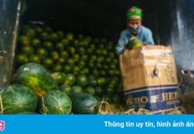 Tiểu thương gặp khó vì chợ đầu mối ở Hà Nội bị phong tỏa