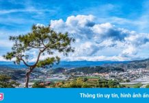 Môi giới bị phạt vì tung tin Lý Nhã Kỳ đi săn bất động sản Đà Lạt