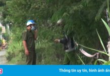 Điều tra vụ dân phòng tử vong ở TP.HCM