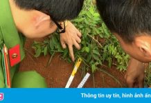 Bắt nghi phạm đâm chết nam sinh ở sân bóng