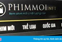 Công an TP.HCM khởi tố vụ đăng lậu phim trên trang phimmoi.net