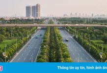 Dự án khiến Tổng giám đốc Công ty Công viên cây xanh Hà Nội bị bắt