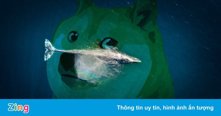 ‘Cá voi’ đang tích trữ Dogecoin