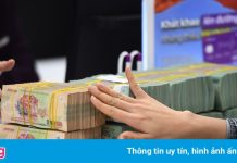 Giám đốc bị tạm hoãn xuất cảnh vì công ty nợ thuế 700 triệu