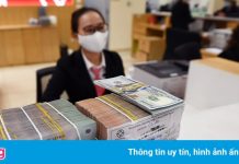 VNDirect: Chính sách tiền tệ sẽ linh hoạt hơn nửa cuối năm
