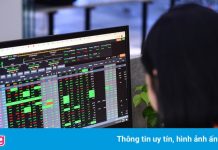 Cổ đông lớn chốt lời hàng nghìn tỷ đồng cổ phiếu SSI ngay giá đỉnh