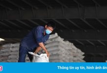 Liên Bộ: ‘Nói giá phân bón tăng do bất cập cung cầu là không đúng’