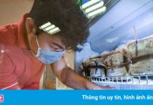 Thiếu máu trầm trọng, TP.HCM tổ chức hiến máu thế nào trong giãn cách?