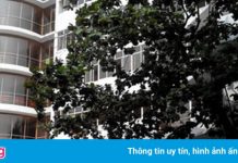 ĐH Duy Tân sa thải giảng viên phát ngôn sai về dịch Covid-19