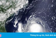 Bang New York ban bố tình trạng khẩn cấp