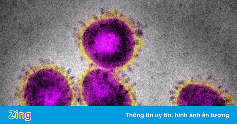 Mỹ sắp giải mật báo cáo về nguồn gốc Covid-19, WHO lên tiếng Mỹ sắp giải mật báo cáo về nguồn gốc Covid-19, WHO lên tiếng