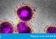 Tình báo Mỹ gửi ông Biden báo cáo về điều tra nguồn gốc Covid-19