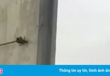 Đám đông hợp sức đưa bé gái Afghanistan vào sân bay Kabul