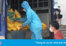 Hải Dương hỗ trợ TP.HCM và các tỉnh phía nam 160 tấn gạo, 5,5 tỷ đồng