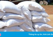 Sự thật về clip tổ trưởng dân phố giấu gạo cứu trợ của dân ở TP.HCM