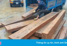 Phát hiện hàng chục hộp gỗ quý để cạnh kho phân bón ở Đà Lạt